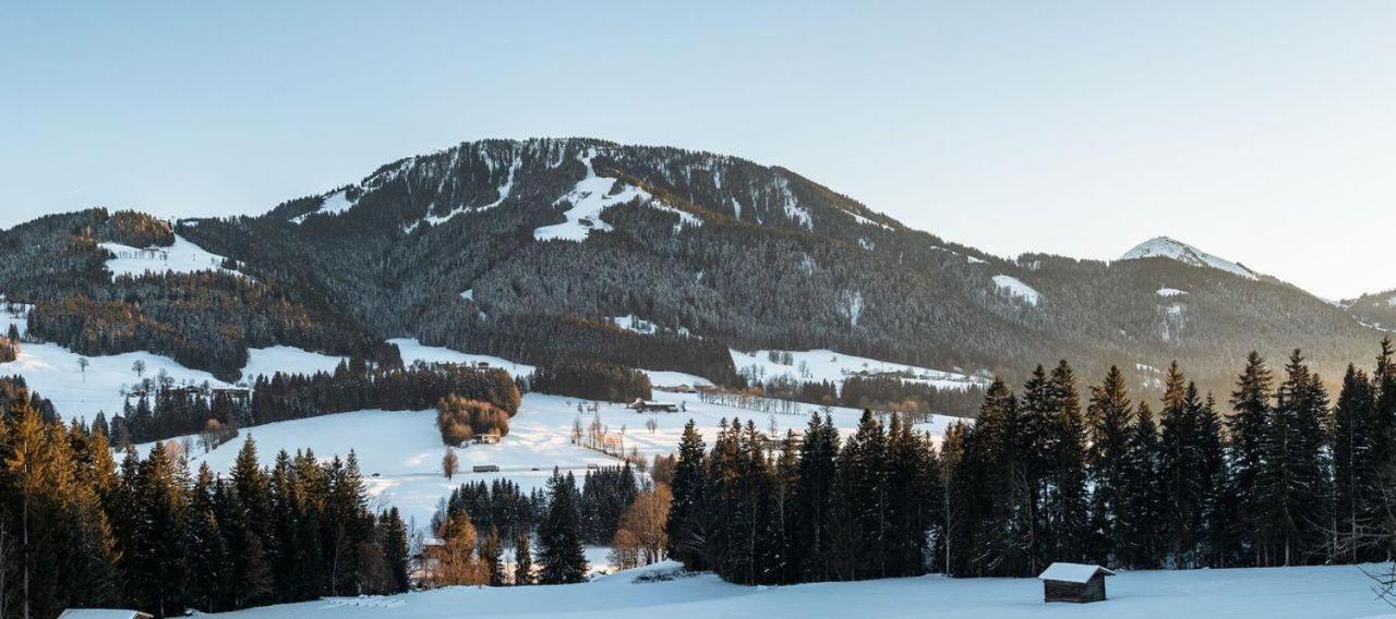 Ferienwohnung Bergliebe Scheffau am Wilden Kaiser Extérieur photo
