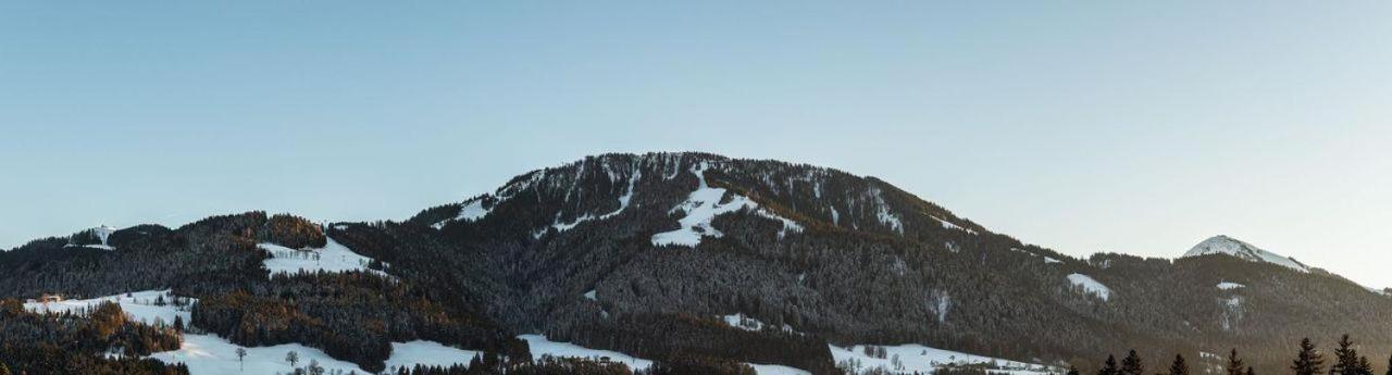 Ferienwohnung Bergliebe Scheffau am Wilden Kaiser Extérieur photo